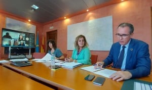 El consejo de administración del Sespa aprueba un gasto de 484.000 euros para crear el portal del profesional