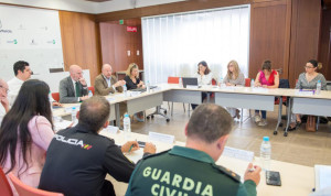 El pleno del Observatorio de la Violencia de Castilla-La Mancha.