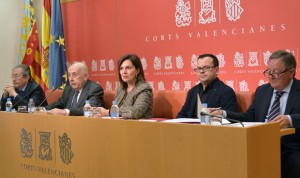 El síndic advierte del riesgo de colapso en las residencias de salud mental