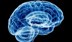 El 'sistema de limpieza' de las células cerebrales, clave en el Alzheimer
