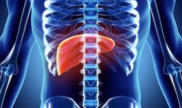 El sulfato de perfluooctano incrementa el riesgo de cáncer de hígado
