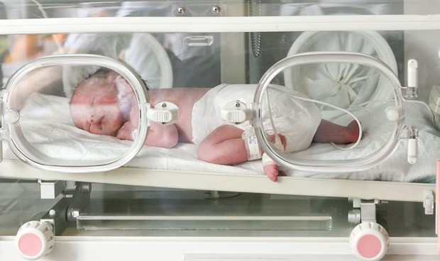 El tacto configura el desarrollo cerebral de los beb�s prematuros