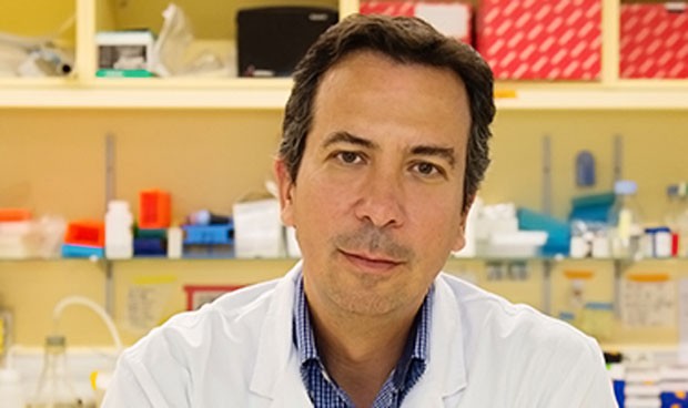 El Vall d'Hebron crea un fármaco para evitar metástasis en cáncer agresivo