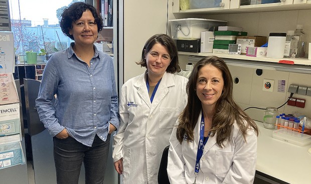 El Vall d'Hebrón revoluciona la terapia génica con organoides a la carta