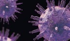 El virus de Epstein-Barr explota la flaqueza del genoma para causar cáncer