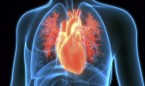 Entrenan una IA para diagnosticar seis tipos de enfermedad cardiovascular