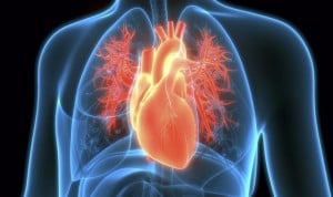 La IA puede ser una gran aliada a la hora de mejorar la precisión de diagnósticos de enfermedades cardiovasculares.