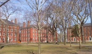 Escándalo en Harvard por el robo y venta de restos humanos