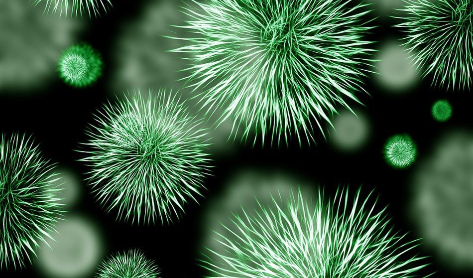 La OMS alerta: la resistencia antimicrobiana está "muy extendida" en Europa