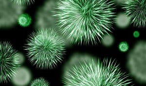 España aumenta su resistencia antimicrobiana a la Klebsiella pneumoniae