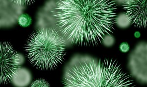 La OMS alerta: la resistencia antimicrobiana está "muy extendida" en Europa