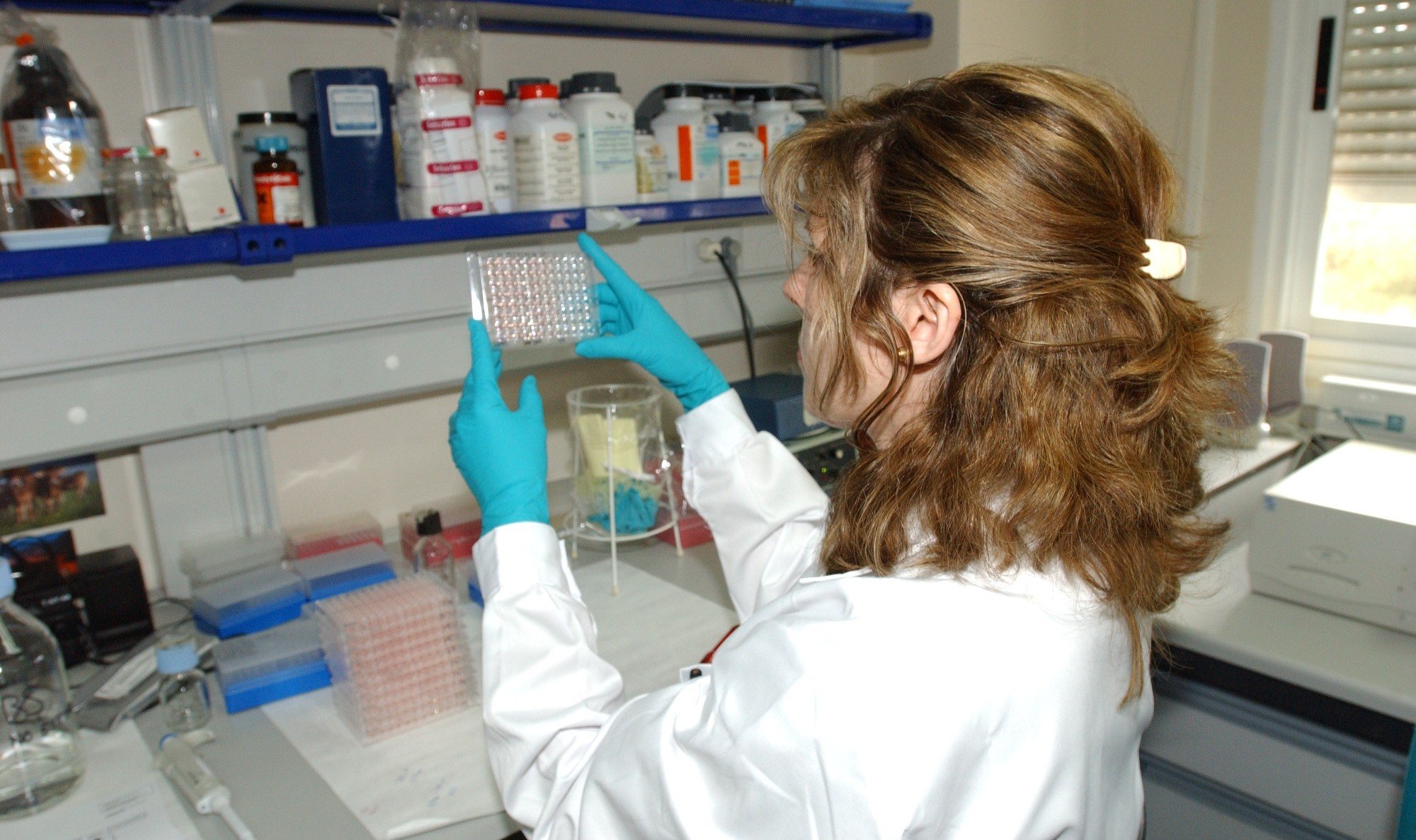 El Gobierno designa al Laboratorio Central de Veterinaria como organismo de referencia de las enfermedades animales