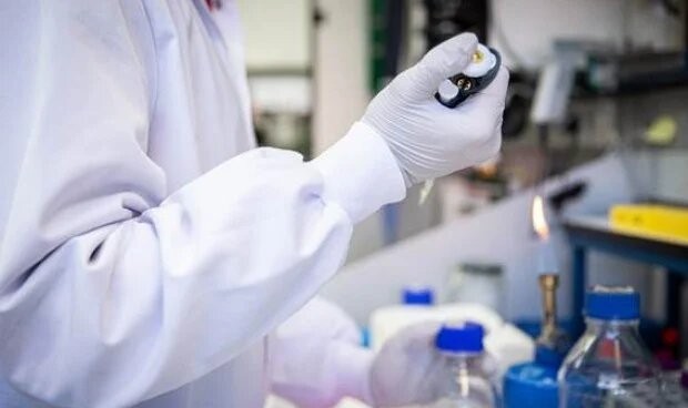 El CSIC participa en la creación de un test pronóstico y predictivo para pacientes en estadio II de cáncer de colon