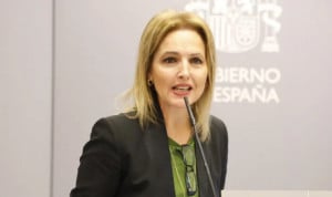 España alcanza cifra récord de trasplantes de médula ósea
