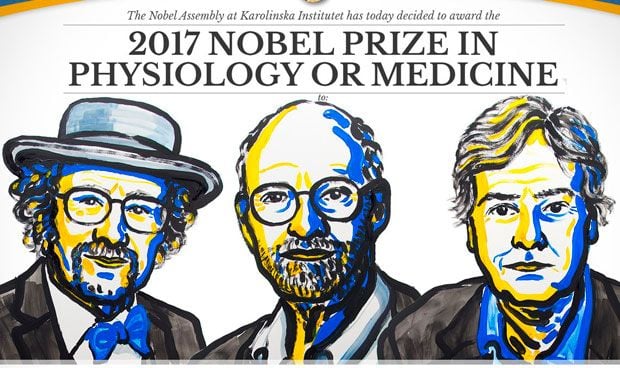 España se queda sin el premio Nobel de Medicina