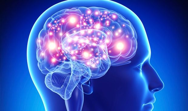 Estimular la amígdala permite 'etiquetar' los recuerdos en el cerebro