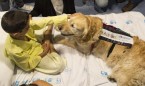 Estudio del 12 de Octubre: la terapia con perros reduce el dolor en menores