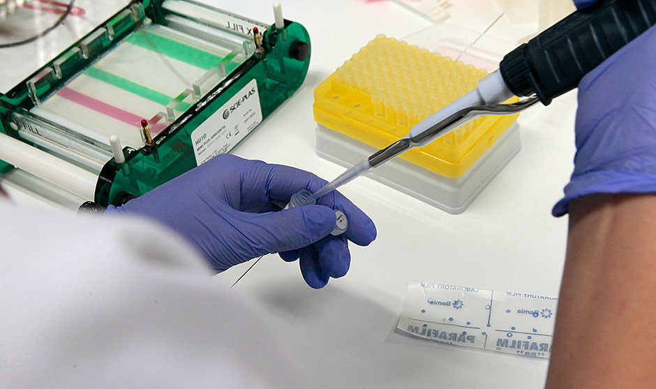 Europa alerta de un mayor riesgo de contagio por las bacterias Vibrio