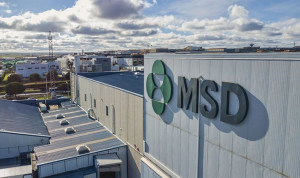 Europa aprueba un fármaco de MSD para prevenir el VRS en lactantes