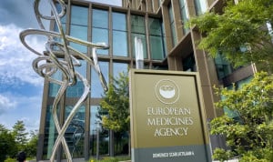Europa autoriza un nuevo medicamento para gatos con diabetes.
