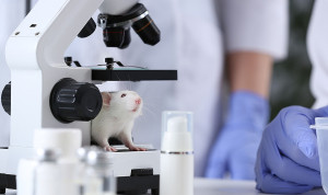 Europa estudia reducir el uso de animales en el desarrollo de medicamentos
