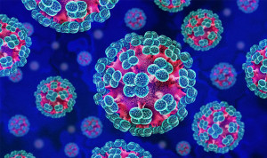 Europa fía el control de hantavirus a las PCR pero avisa del falso negativo
