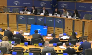 Comisión de Salud Pública del Parlamento Europeo, que ha debatido sobre medidas para mejorar el abordaje de enfermedades raras