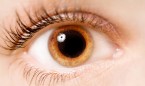 Examinar el tamaño de la pupila ayuda a identificar los niveles de estrés