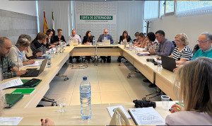 Extremadura implanta la categoría de Podología en Primaria del SES 