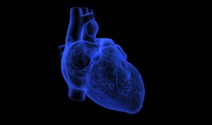 Fabrican el primer corazón en un chip impreso totalmente en 3D