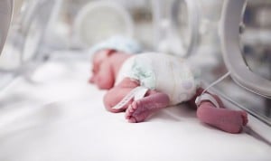 Francia activa la alarma sanitaria tras muertes de bebés por parvovirus B19