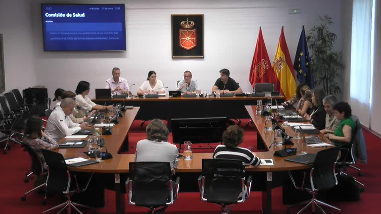 Comisión de Salud del Parlamento de Navarra.