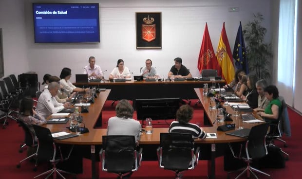 Comisión de Salud del Parlamento de Navarra.