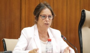 Andalucía unifica la atención integral de Primaria y Hospitalaria vía ley
