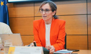 García defiende que la regularización de inmigrantes "fortalece" la sanidad