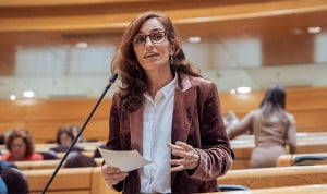 La ministra de Sanidad ha comparecido este martes en la sesión del control del Senado