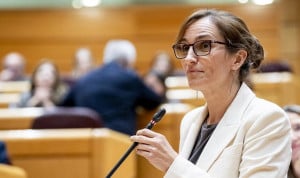 García, sobre el aborto: "El camino ha sido tortuoso y aún ponen trabas"