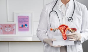 Guía completa sobre las hormonas femeninas