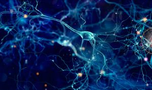 Hacer 'cosquillas' al cerebro con estimulación eléctrica mejora la memoria