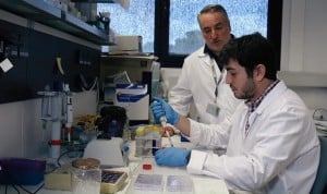 Hallan la forma de detectar el cáncer de próstata sin necesidad de biopsia