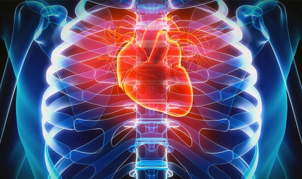 Un reciente artículo de la Universidad de Harvard desmitifica el síndrome del corazón roto y pone el foco de la razón de su desarrollo en el estrés