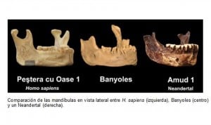 HM Hospitales participa en el estudio del Sapiens más antiguo de Europa