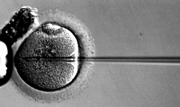 Holanda investiga la inseminación a 26 mujeres con semen erróneo