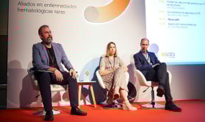 Más de un centenar de sanitarios, entre hematólogos y farmacéuticos hospitalarios, actualizan sus conocimientos en enfermedades raras hematológicas