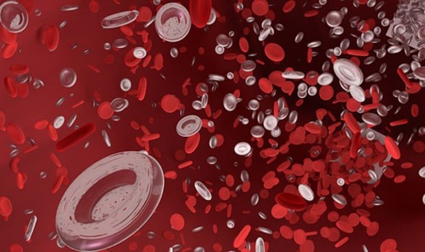 Identifican el mecanismo del linfoma no Hodgkin para hacerse 'invisible'