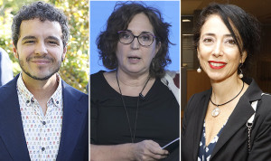  Pedro Gullón (Salud Pública), Remedios Martín (Semfyc) y Esther Nieto, (Faecap) impulsan el plan de crónicos.