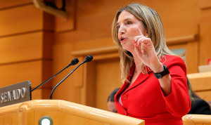  Alicia García, portavoz del PP en el Senado, pide informes semestrales contra la "incertidumbre" en la homologación médica.