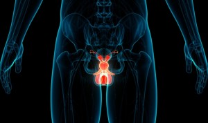Investigadores descubren una nueva taxonomía del cáncer de próstata