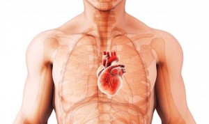 Crean un corazón virtual para ver la actividad real de una persona