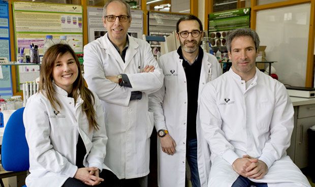 Investigadores españoles reducen en un 80% la metástasis hepática